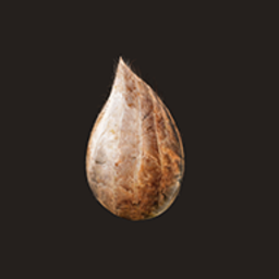 老头下边又粗又大又硬手机版中文版下载-轮回老头下边又粗又大又硬手机版下载 v0.55 安卓版