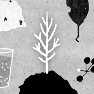 红猫大本猫营点211最新版下载-红猫大本猫营点211安卓版手机版下载v1.51