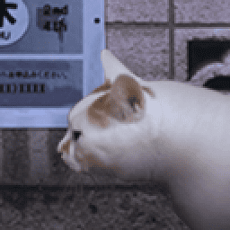 日本一级A片之怪奇谭官方正版下载-日本一级A片之怪奇谭手机版下载 v1.0 安卓正版